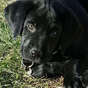 Meet your Posher, Christa vanhorn